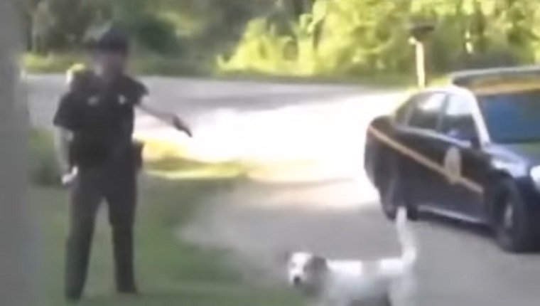 Woman Arrested For Protecting Her Dog From Cop Who Wanted To Shoot Him ...