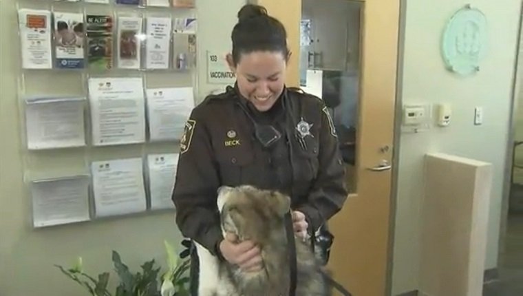 deputy-adopts-neglected-dog-animal-cruelty