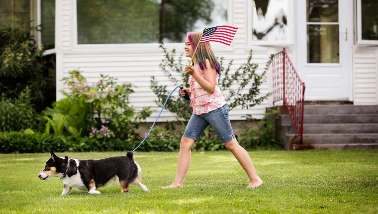 Mixed race girl walking dog with American flag