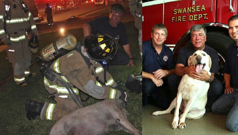 emergency-responders-adopt-dogs-2