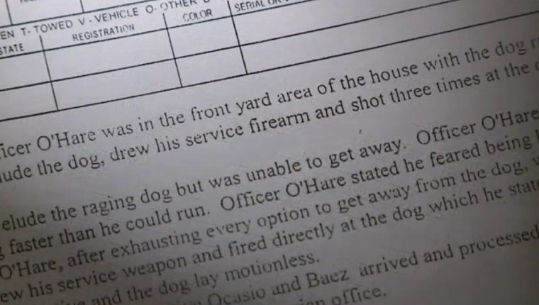 family-dog-killed-by-police-3