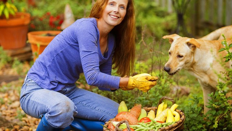 8 Seasonal Fruits and Vegetables You Can Share With Your Dog · The