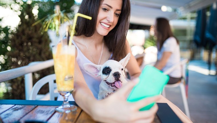 Young brunette woman in cafeteria talking selfie with adorable French bulldog puppy in her lap.