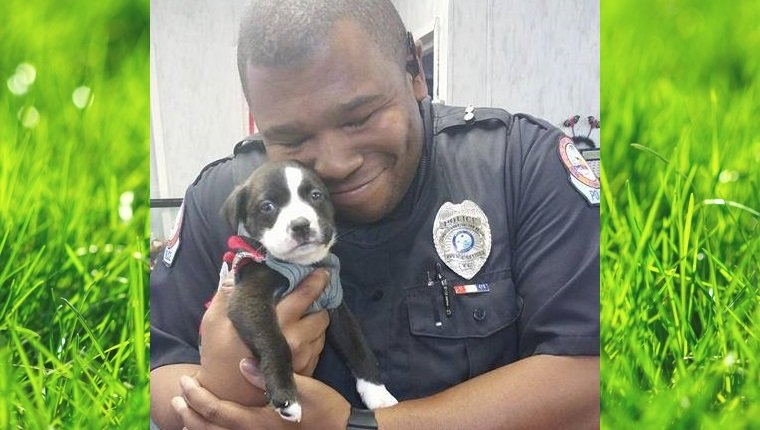 officer-adopts-puppy