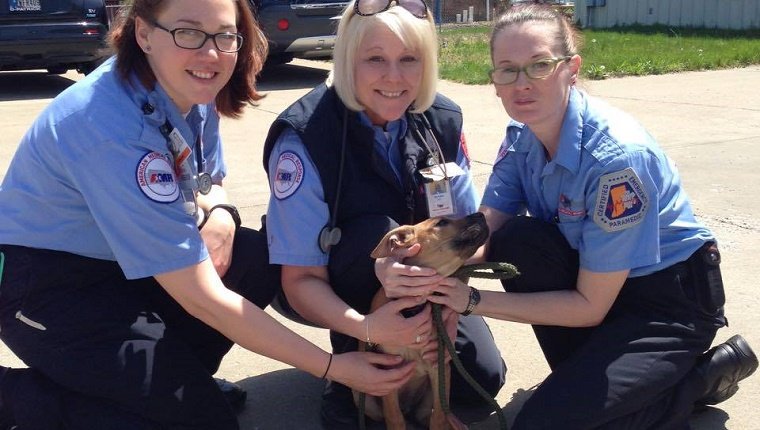 puppy-chases-ambulance-gets-forever-home