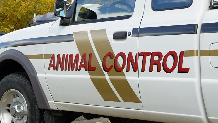 National Animal Care & Control Appreciation Week: 6 Things We Should