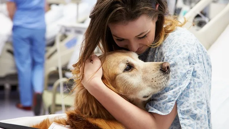 Sweet Loving Therapy Dog Visiting Young Happy Female Patient In Hospital