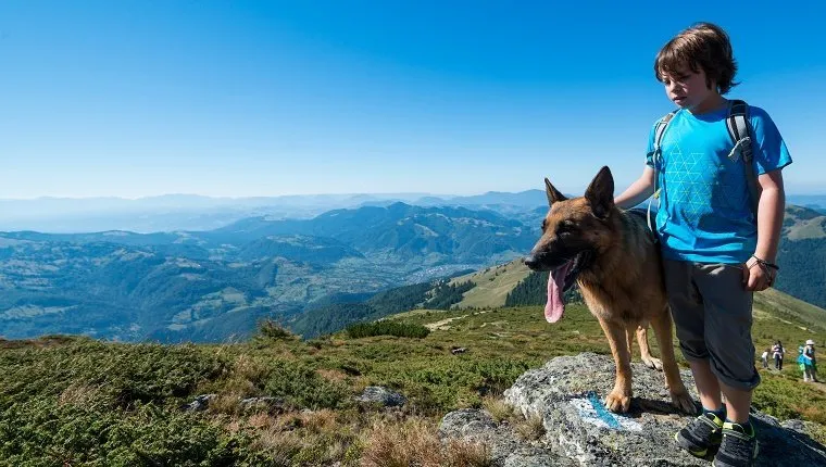 Image of a 10 years old bor and his german shepherd dog admiring a beautiful landscape in Rodnei mountains, Carpathian mountain range, Transylvania, Romania