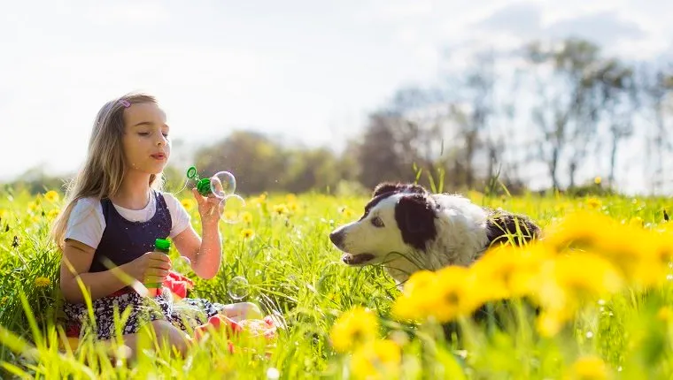 Girl blowing bubbles with dog in field