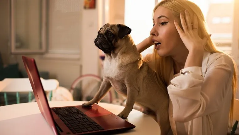 Young woman with her dog reading a shocking news on her laptop.