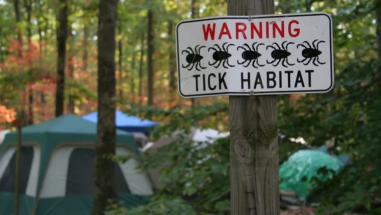 a sign warns about tick habitat at a campground, with camping tents in the background in the midst of sunlit, colorful forest.