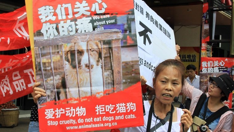 YULIN, CHINA - JUNE 21: (CHINA OUT) A woman holds a poster to reject eating dogs on June 21, 2013 in Yulin, Guangxi province of China. June 21 is the annual "Dog Meat Festival" for people in Yulin. Local people in Yulin eats dogs meat to celebrite the "Dog Meat Festival", which caused the dissatisfaction among animal protecters. (Photo by VCG/VCG via Getty Images)