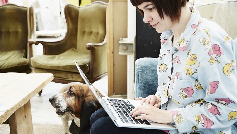 Most Popular Dog Training Methods