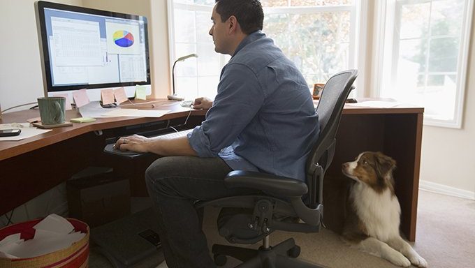 dog watches man work on computer