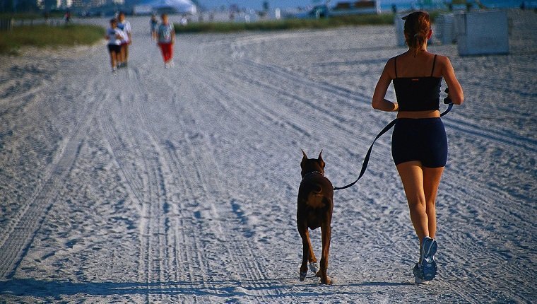female jogger & dog on beach, fl