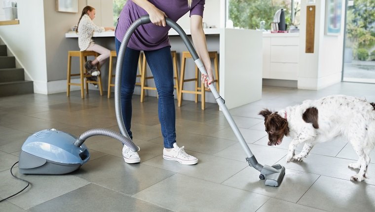 Woman vacuuming around sleeping dog
