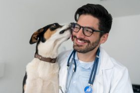 friendly dog kissing happy vet