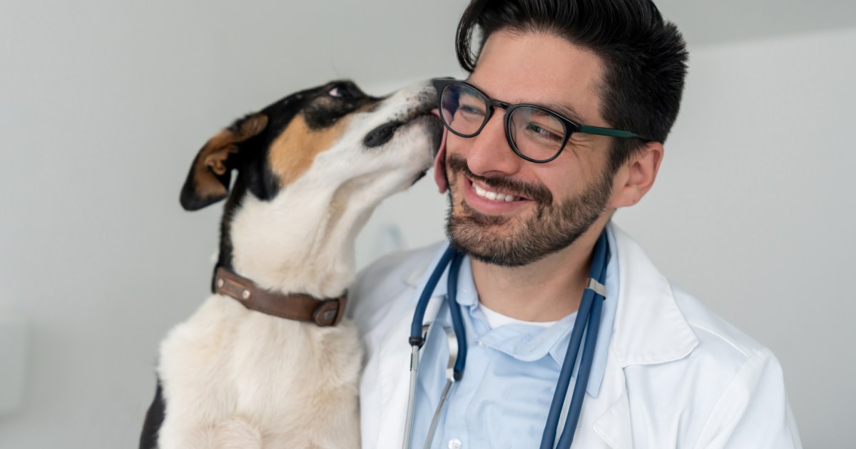 Finding the Right Vet for Your Dog