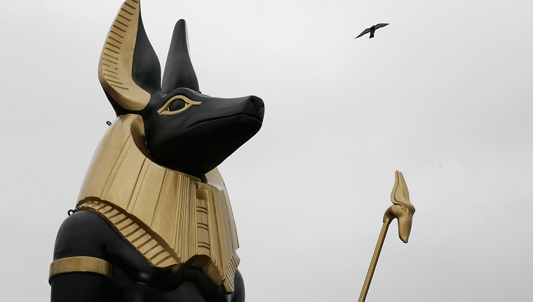 5 Canine Gods & Goddesses Your Dog Could Be Related To - DogTime
