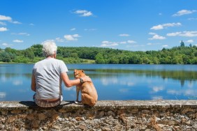 Senior man with old brown dog on wall in nature landscape with lake