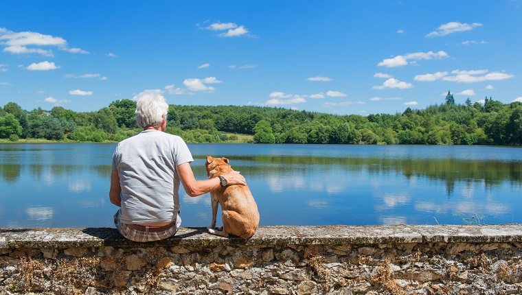 Senior man with old brown dog on wall in nature landscape with lake