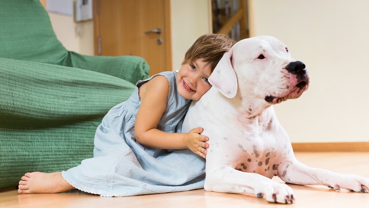 Happy girl toddler on the floor with dogo Argentino