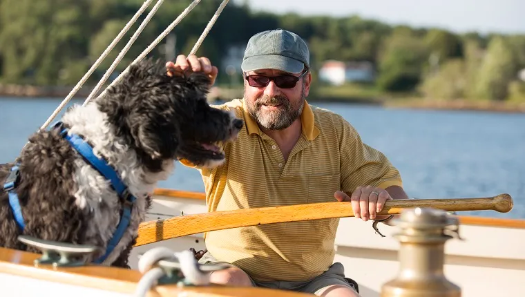 Man and his dog on a sailboat