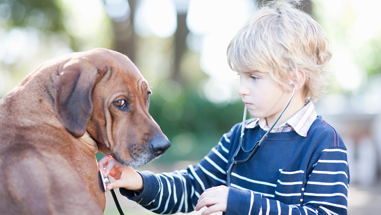 Boy using stethoscope on pet dog