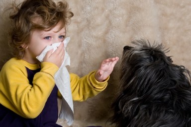 Child allergic to dog. To see more of this model: