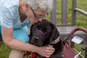 A service dog named Lucee enjoys a kiss from her recipient during a three week "team training" for this newly matched team. The service dog has been trained by Canine Partners for Life, a non-profit service dog training organization in Cochranville, PA, USA. The recipient has MS.