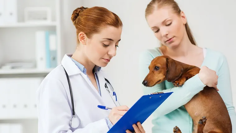 medicine, pet care and people concept - woman holding dachshund dog and veterinarian doctor with clipboard taking notes at vet clinic