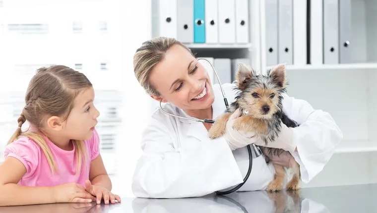 Female veterinarian examining puppy with girl in clinic