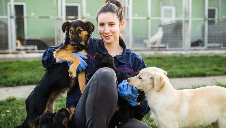 Young woman in dog shelter playing with dogs an choosing which one to adobt.