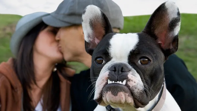 Multi-ethnic couple kissing behind dog