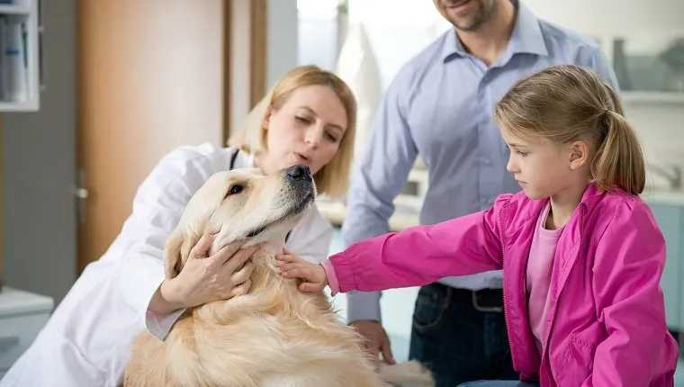 A female veterinarian talking to a dog owner about the pet's health.