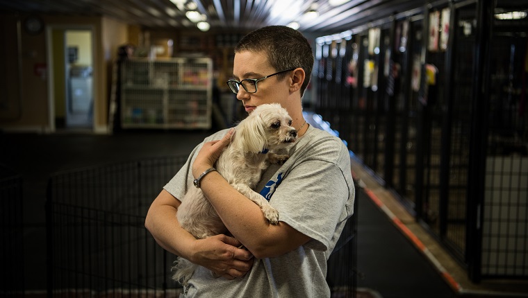 Dog hotsell rescue groups