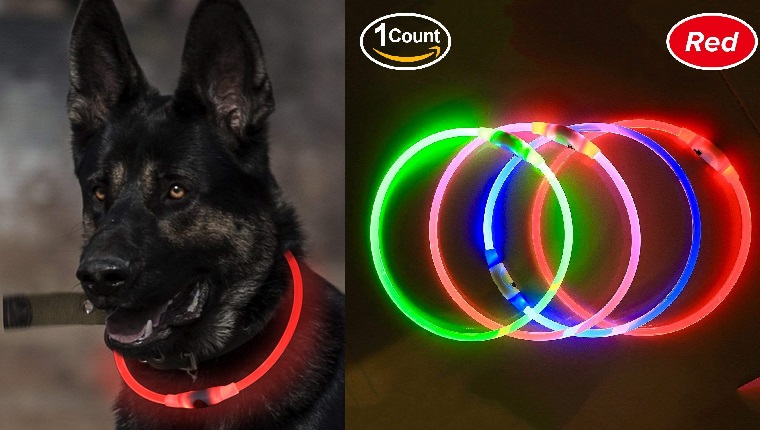 glow collar for dogs