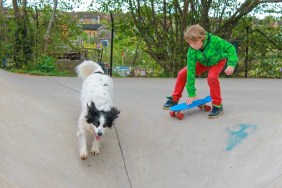 Child playing with his dog in a skate park