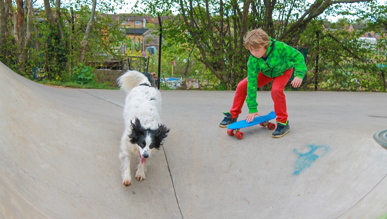 Child playing with his dog in a skate park