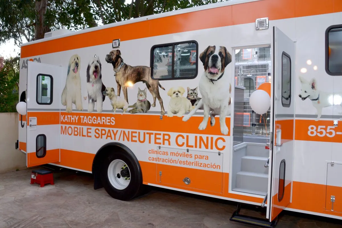 Aspca low cost store neuter