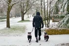 A man walking his dogs in the snow,