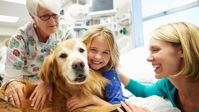 Register a therapy store dog