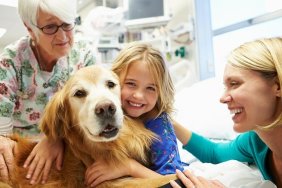 Young Girl Being Visited In Hospital By Therapy Dog And Family