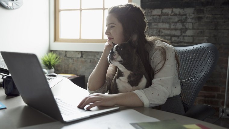 Creative businesswoman working at laptop with dog in lap