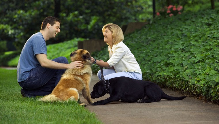Couple with dogs outdoors