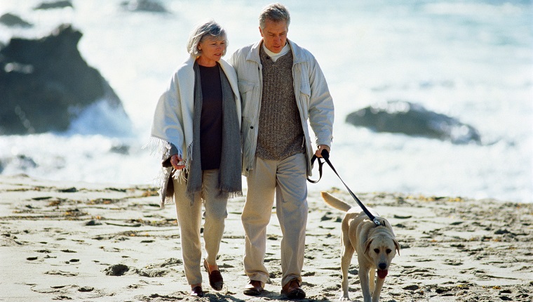 Middle-aged couple walking labrador dog on beach