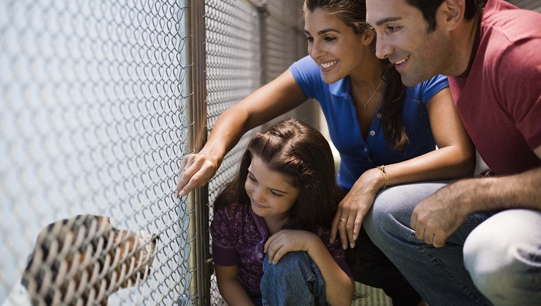 Family at an animal shelter