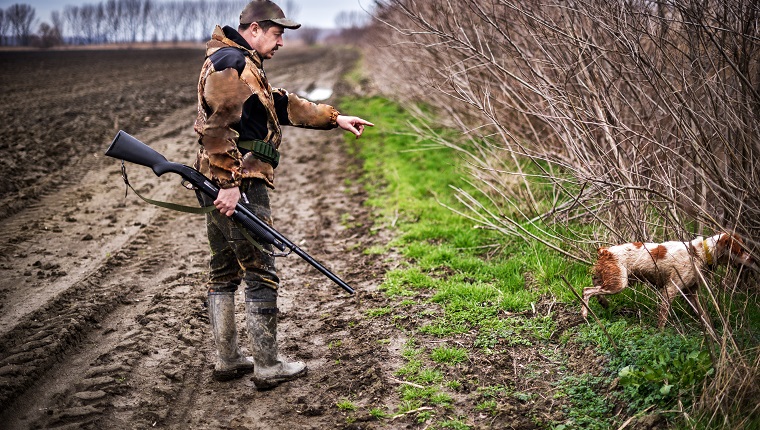Male hunter with rifle and hunting dog stalking for a prey in the field.