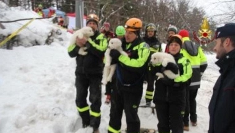 ABRUZZO, ITALY - JANUARY 23: A handout photograph provided by the Italian Fire Department shows rescue crews hold pets as they make search and rescue works in the area of the hotel Rigopiano, which was hit by a massive avalanche due to earthquakes on 18 January in central Italy, in Farindola, Abruzzo region, Italy, on January 23, 2017. (Photo by Vigili del Fuoco/Handout/Editorial Use Only/Anadolu Agency/Getty Images)