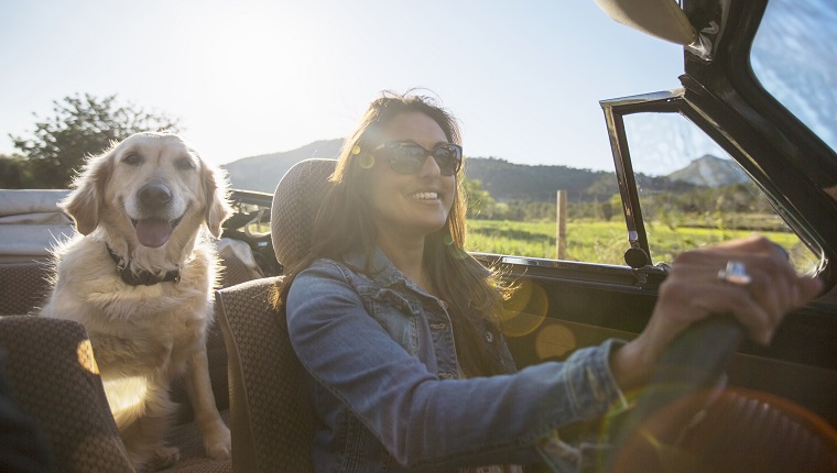 Mature woman and dog, in convertible car